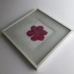 Le Garcon De Cristina-simple,quiet,spacious Apartament Bucureşti