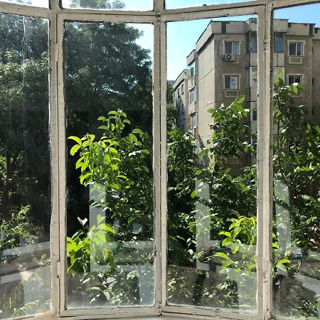 Le Garcon De Cristina-simple,quiet,spacious דירה בוקרשט