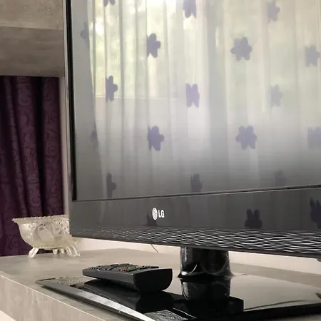 Le Garcon De Cristina-simple,quiet,spacious * Bükreş
