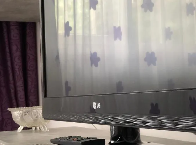 Le Garcon De Cristina-simple,quiet,spacious * Bucureşti