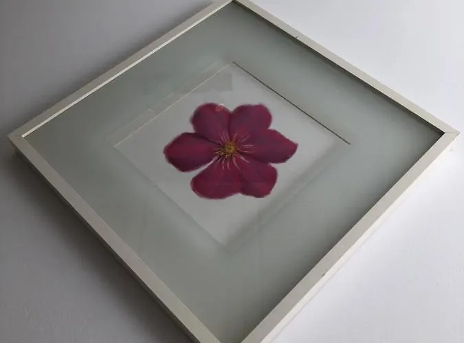 Le Garcon De Cristina-simple,quiet,spacious Апартаменти Бухарест