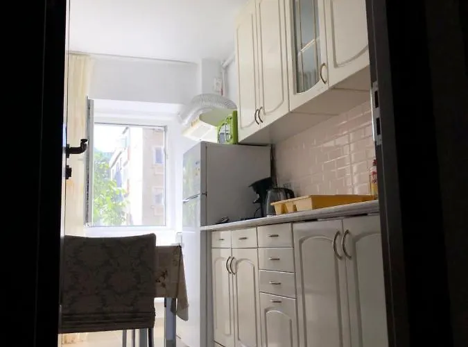 Le Garcon De Cristina-simple,quiet,spacious * Bucureşti