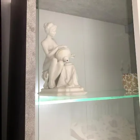 Le Garcon De Cristina-simple,quiet,spacious * Bukareszt