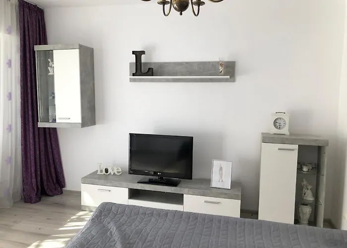 Le Garcon De Cristina-simple,quiet,spacious * Bukareszt